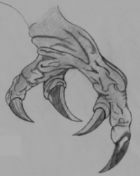 Dragon claw.jpg