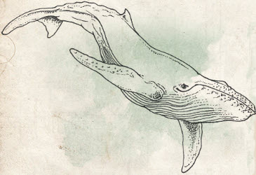 Cetacean.jpg