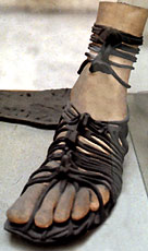 Roman Military boot the Caligua