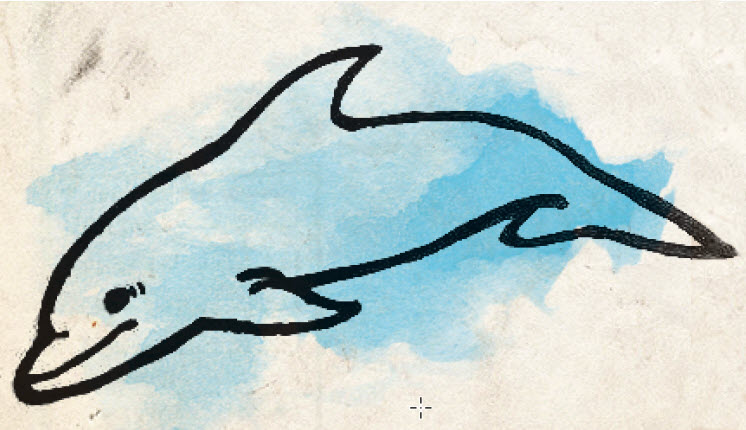 Dolphin.jpg